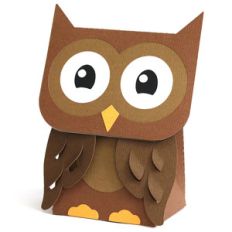 owl box
