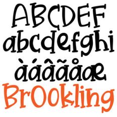 zp brookling