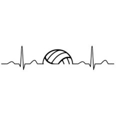 volleyball life