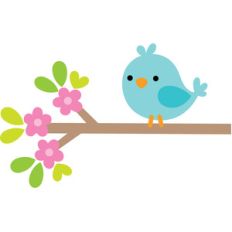 bird on branch