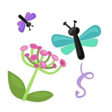 dragonflies and flowers