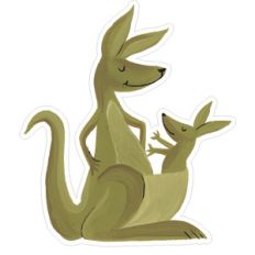kangaroo