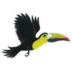 toucan