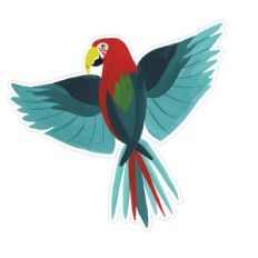 parrot
