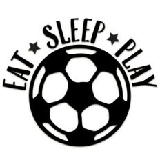 eat sleep play hockey