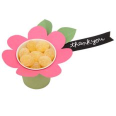 daisy treat cup