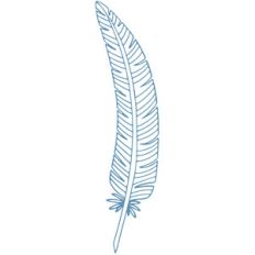 feather