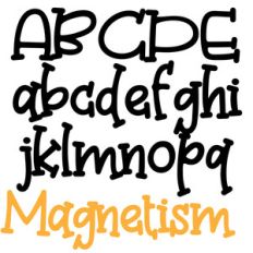 zp magnetism