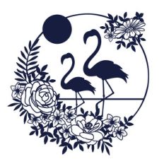 mummy and baby flamingo