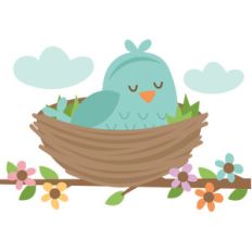 bird in nest