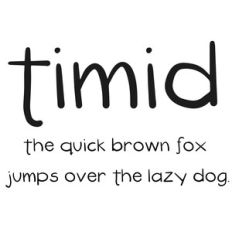 cg timid font