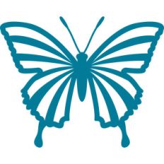 butterfly lines