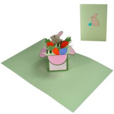 baby bunny pop up box in a card