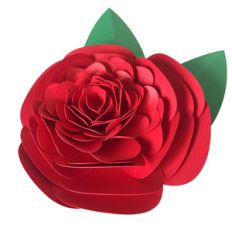 3d camellia flower