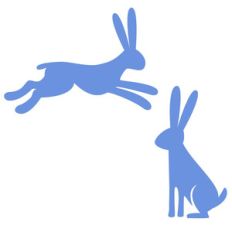 hare and jackrabbit