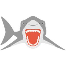 shark attack