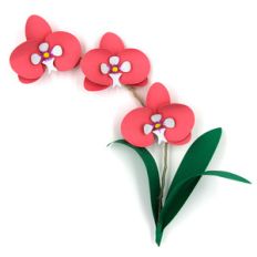 orchid branch