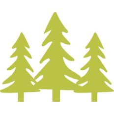 pine trees