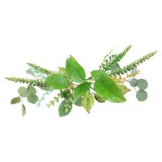 vibrant greenery