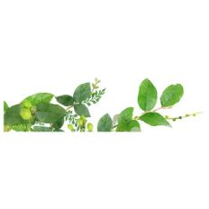 greenery border