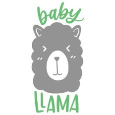 baby llama