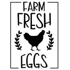 farm fresh eggs