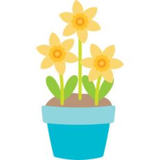 pot of sunflowers