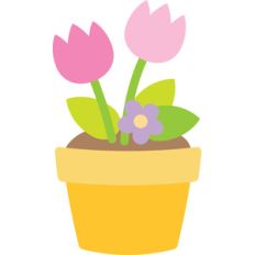 pot of tulips