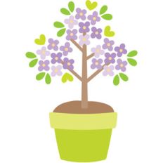 tree in pot