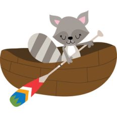 racoon