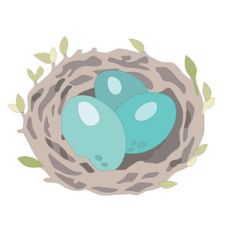 birds' nest