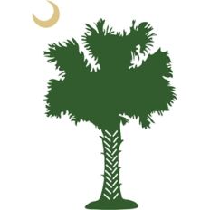 palmetto tree and moon