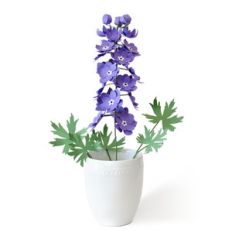3d delphinium flower
