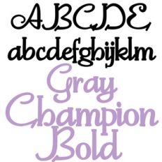pn gray champion bold