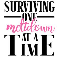 surviving one meltdown at a time