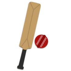 cricket bat and ball
