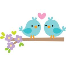 two birds