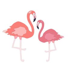 flamingo couple