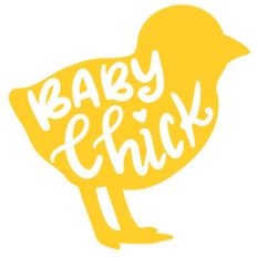 baby chick