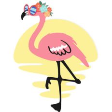 trendy flamingo