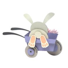 rabbit in the wheelbarrow