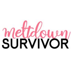meltdown survivor