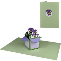 pansies pop up box in a card