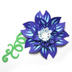 grand accented flower