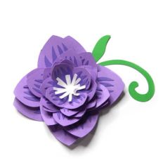 neat accented flower