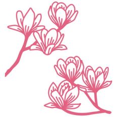 magnolia boughs