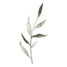 green watercolor leaves