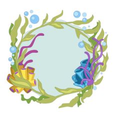under the sea circle frame