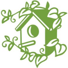 birdhouse ivy