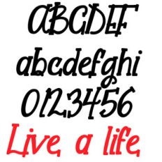 zp live a life